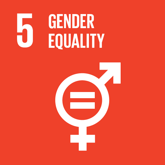 sdg 5