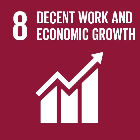 sdg 8